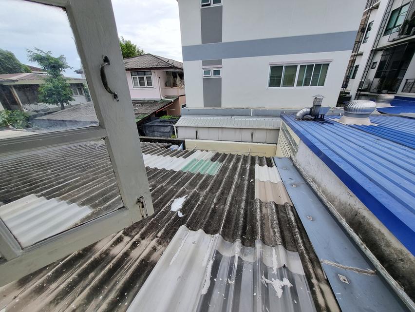 Townhome/Townhouse for rent in Soi Sukhumvit 93, Bangchak Phrakanong Bangkok ทาวน์โฮม/ทาวน์เฮ้าส์ ให้เช่าในซอยสุขุมวิท 93 บางจาก พระโขนง กรุงเทพฯ 19