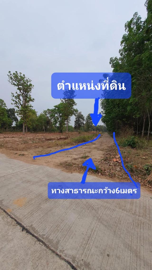 ขายที่ดินกาฬสินธุ์ อ.กุฉินารายณ์ โฉนด 5ไร่ ราคาแค่ 5.5แสนบาท ใกล้ถนนใหญ่เส้นกาฬสินธุ์-มุกดาหาร ราว 4กิโล ท้ายหมู่บ้านแจนแลน ใกล้Lotusราว7กิโล 3