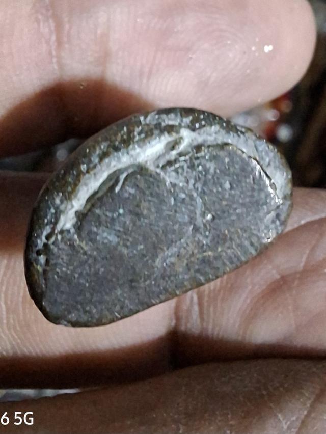 พระเครื่อง หลวงพ่อเงิน ปี2534 รูปย่อยที่ 3