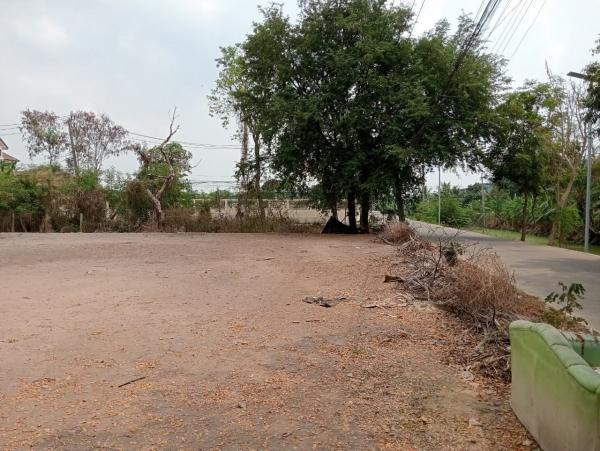 ให้เช่าที่ดิน อ.บางบัวทอง จ.นนทบุรี 4