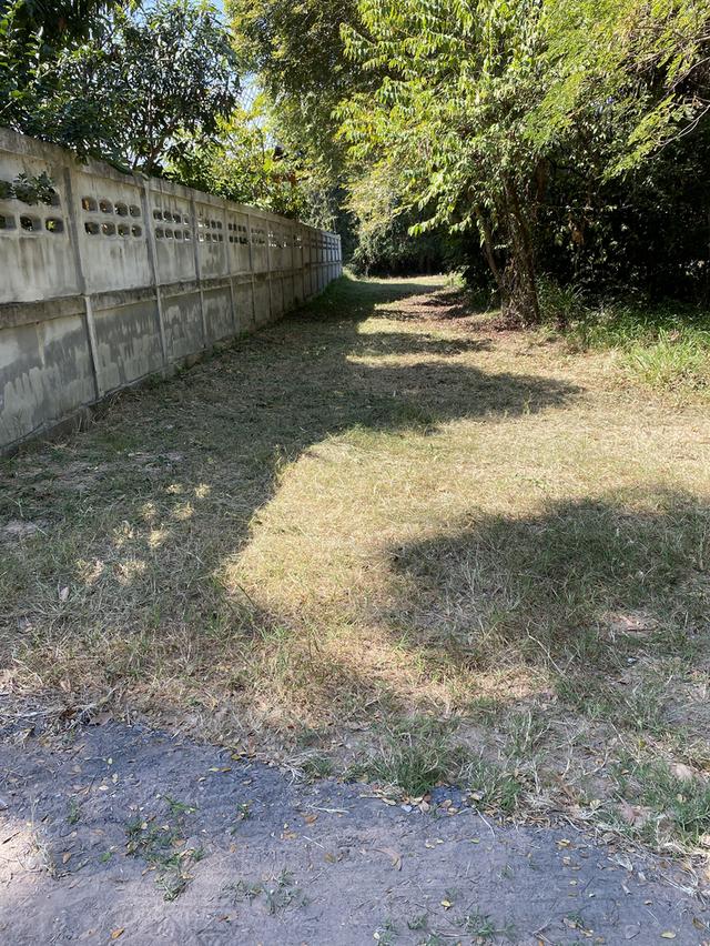 ขายที่ดินเปล่า ในเมืองมหาสารคาม ใกล้แหล่งเศรษฐกิจของเมือง ตลาด ธนาคาร โรงเรียนอนุบาล โรงเรียนมัธยม วิทยาลัยเทคนิค วิทยาลัยอาชีวศึกษา ศาลหลักเมือง ฯลฯ 5