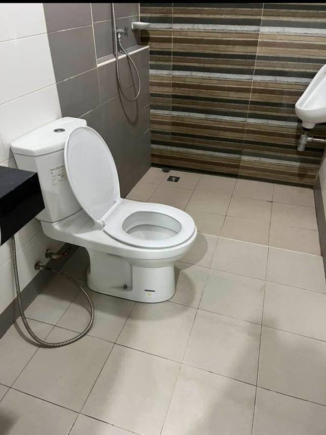 บ้านให้เช่า บ้านเดี่ยวชั้นเดียว พื้นที่ 52 ตรว. 2นอน 2น้ำ 2จอดรถ 7