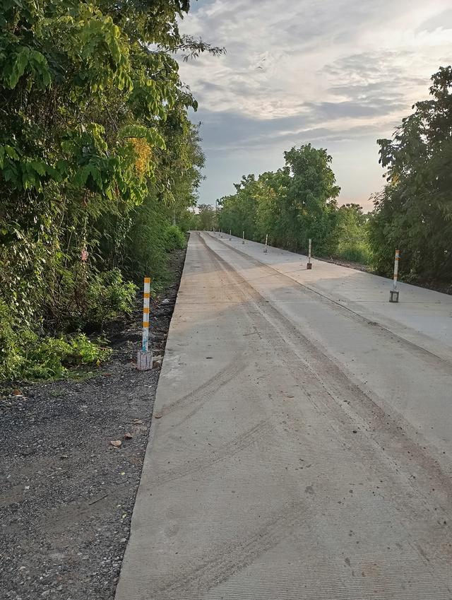 ที่ดิน ติดถนนคอนกรีต ห่างจากนิคมอมตะสมาร์ทซิตี้  1 กิโลเมตร 3