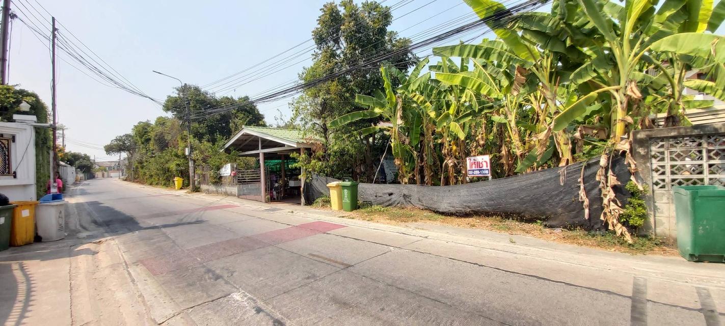 ให้เช่าสวนไทรม้า 3 ไร่  ฟรี..!!ค่าเช่าเดือนแรก บรรยากาศร่มรื่น  คมนาคมสะดวก  เหมาะทำคาเฟ่ สวนอาหาร ใกล้แม่น้ำเจ้าพระยา   3