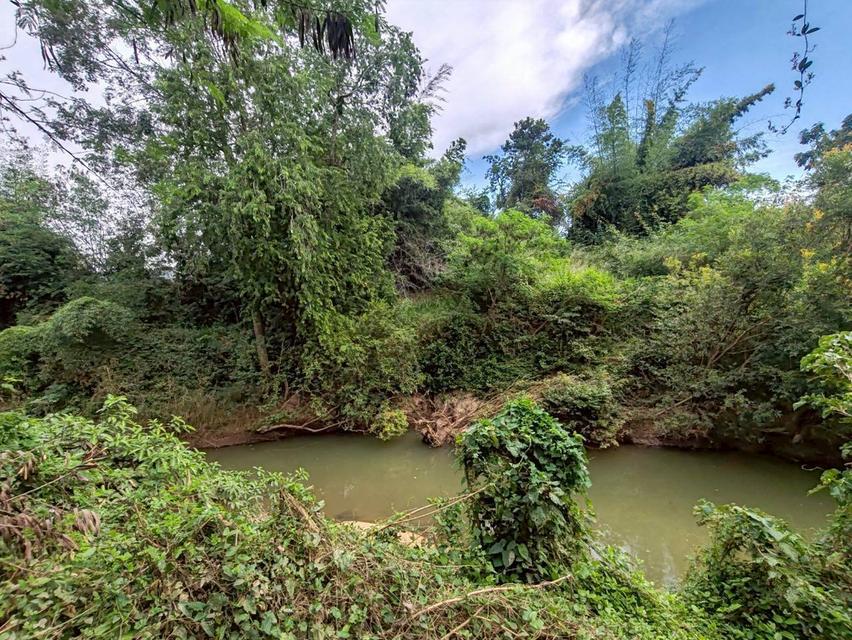 ที่ดินเปล่า จ.ลพบุรี อ.ลำสนธิ 2