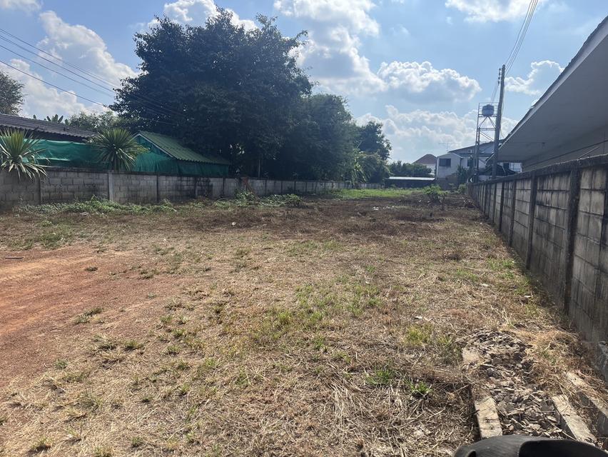 ที่ดิน จังหวัดเชียงราย 2