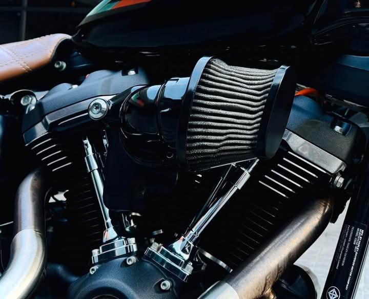 Harley Davidson Street Bob ปี 2019 5