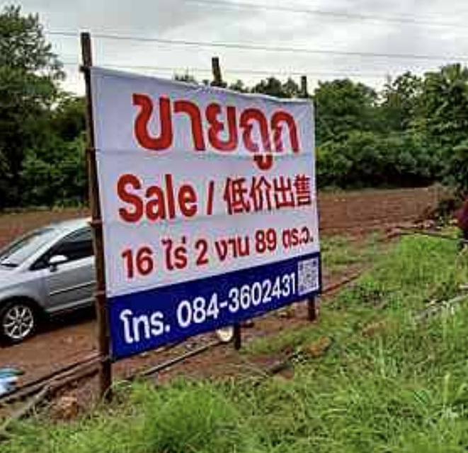 ขายด่วน ที่ดิน จ.ตาก มีต้นสัก 1000 กว่าต้น 4