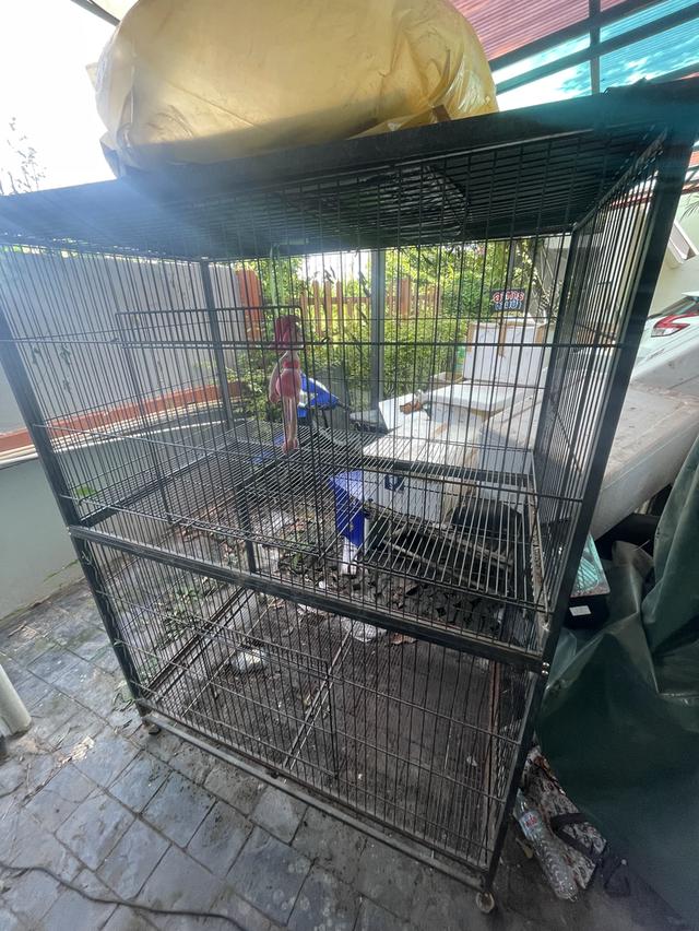 กรงแมว ราคาคุยกันต่อได้ 3