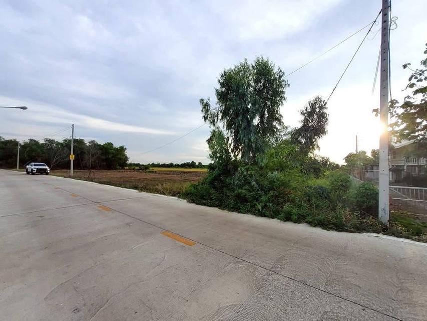 ขายด่วนทีดินติดถนนเลียบคลองห้า 368 ตารางวา ติดถนนคอนกรีตสาธารณะ อ.คลองหลวง จ.ปทุมธานี 5