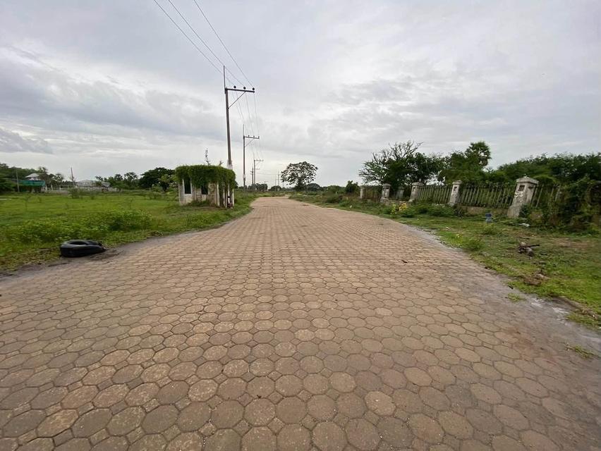 ขายต่ำกว่าประเมินที่ดิน 266 ตรว ติดถนนคอนกรีต ต.บ้านงิ้ว อ.สามโคก จ.ปทุมธานี 10
