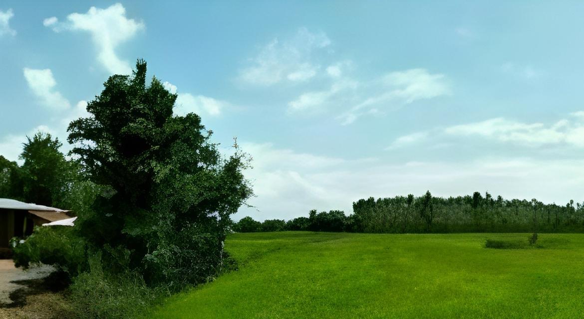 ขายที่ดิน 6 ไร่ อ.ศรีมหาโพธิ จ.ปราจีนบุรี ใกล้ถนนหมายเลข 3070 และ อบต.หัวหว้า 2