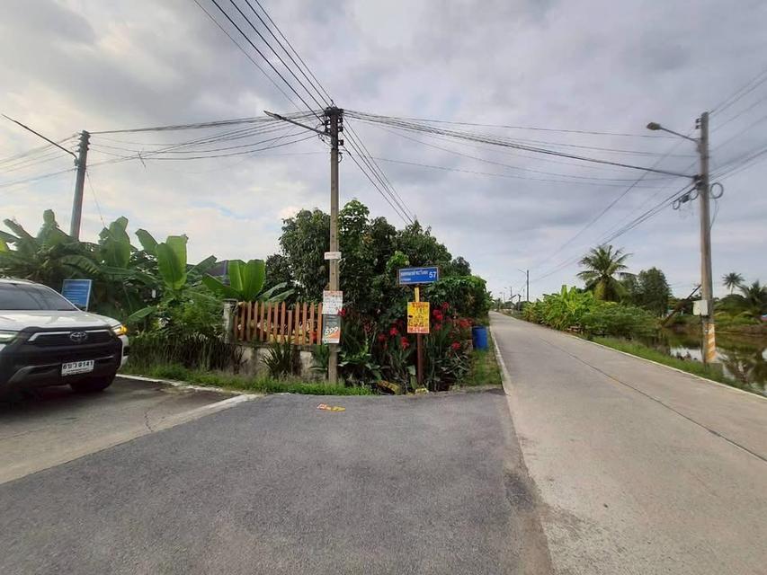 ขายด่วนที่ดินคลองห้า 200 ตารางวา ติดถนนคอนกรีตสาธารณะ ชอย คลองห้า ตต.57 อ.คลองหลวง จ.ปทุมธานี 4