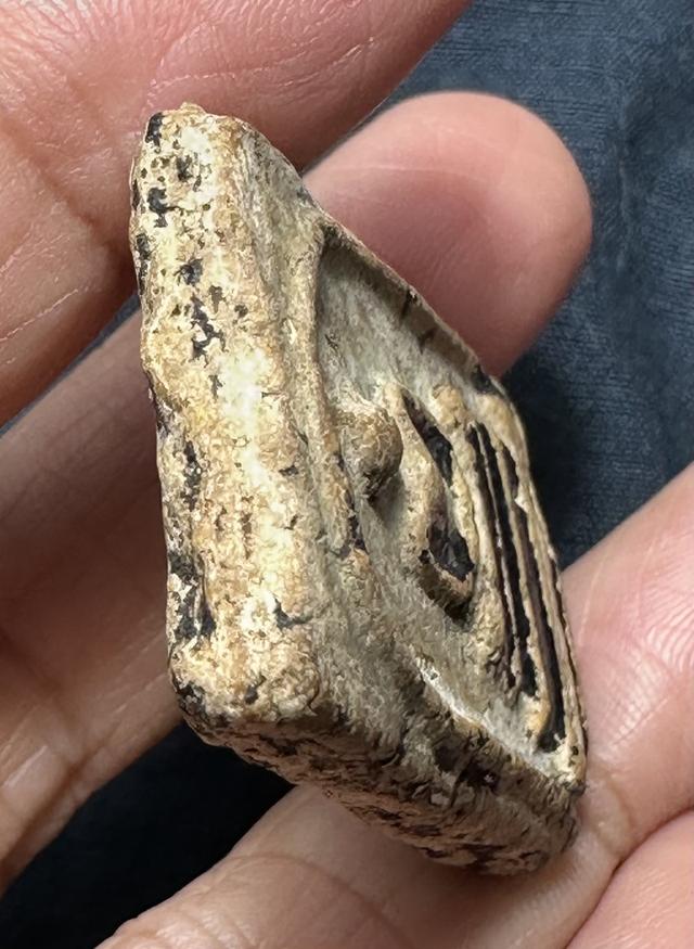 พระสมเด็จพิมพ์ใหญ่ มีคราบรัก 5