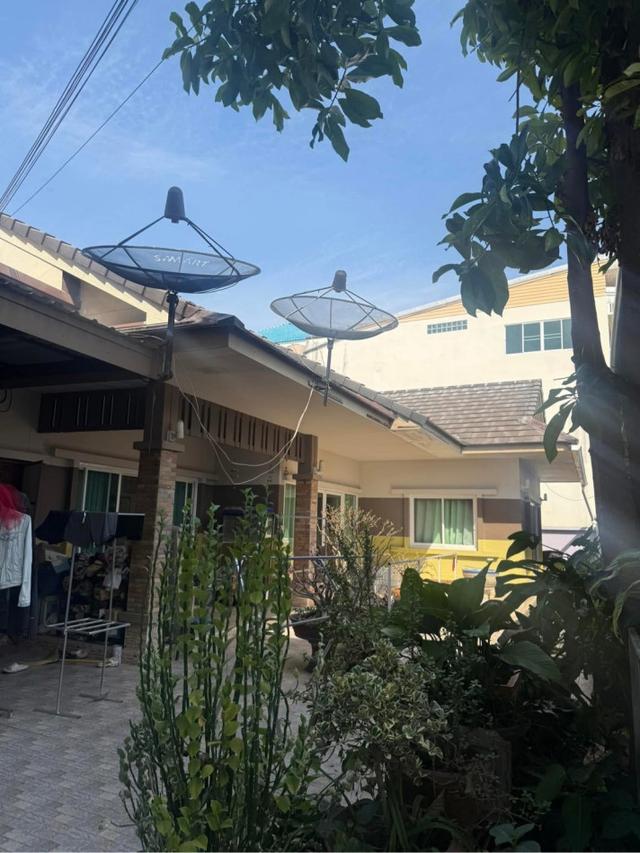 ขายบ้านพร้อมที่ดิน 2 งาน 43.6 ตร.ว. ถนนน้ำทอง-บายพาส ใกล้โรงเรียนแพร่ปัญญานุกูล 4