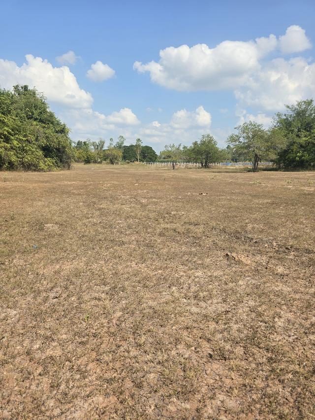 ที่ดินเปล่า ทำสวนทำนาได้ 5ไร่ 1