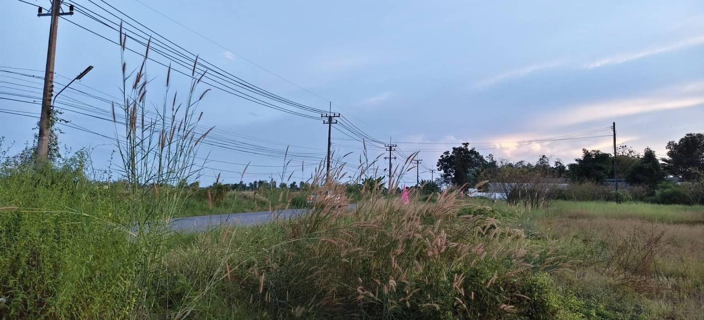 ที่ดินแปลงใหญ่ใกล้ มศว องครักษ์ เลือกได้ทั้งซื้อสดและผ่อนนาน 5 ปี 7