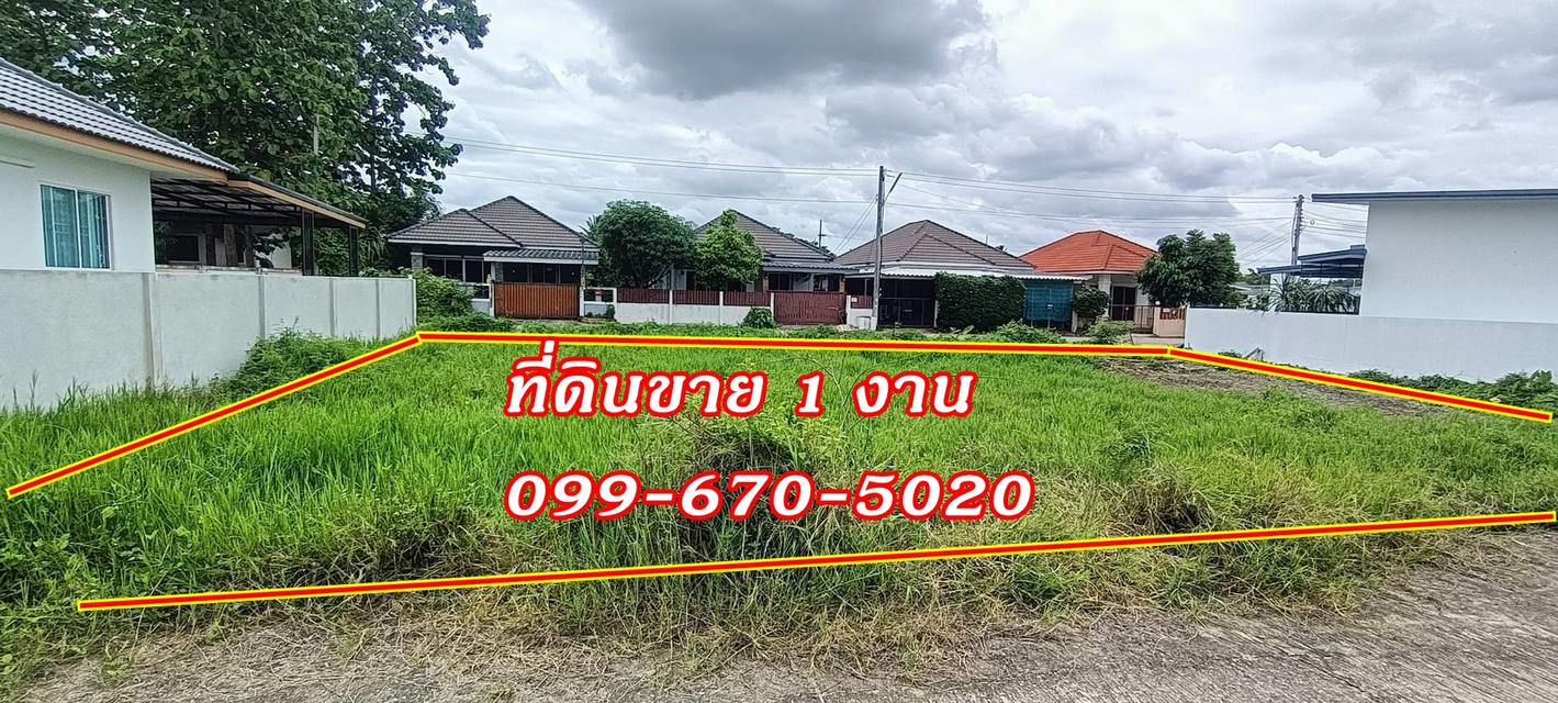 ขายที่ดินสวยพร้อมปลูกบ้านได้ 100 ตารางวา  ต.ป่าไผ่ อ.สันทราย จ.เชียงใหม่ 5