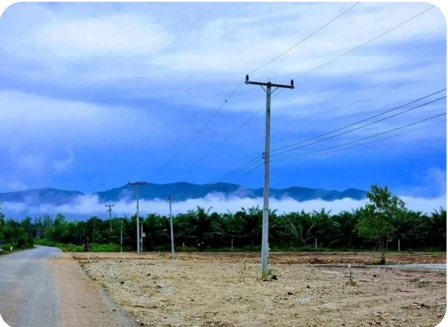 ที่ดิน 1ไร่ ราคาดีมาก กลัดหลวง ท่ายาง เพชรบุรี 7