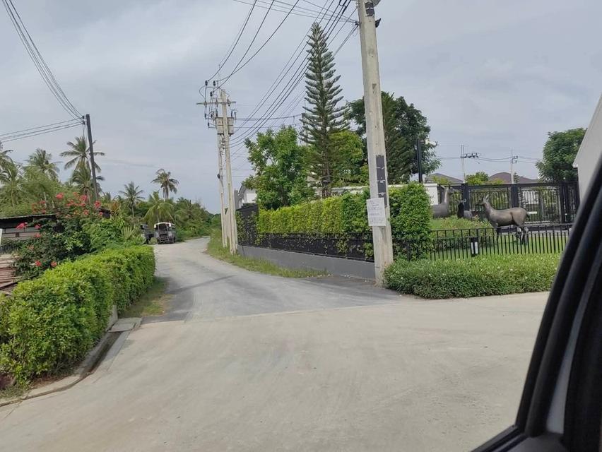 ที่ดินเปล่า เป็นสวนเก่า ติดโครงการปมู่บ้านแลนด์แอนด์เฮ้าส์ เพิ่งสร้างเสร็จใหม่ ธรรมชาติร่มรื่น ติดคลองบางมด 3
