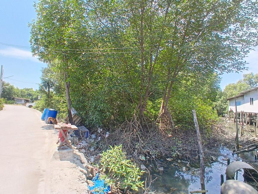 ขายที่ดิน 4 ไร่ 29 ตารางวา ซอยเทศบาลคลองด่าน 8/5 ตำบลคลองด่าน อำเภอบางบ่อ จังหวัดสมุทรปราการ 8