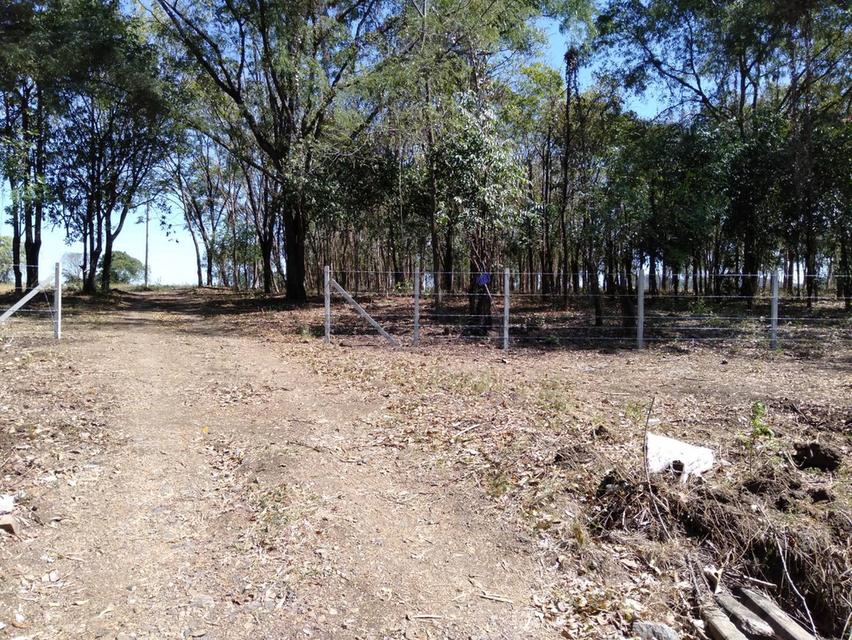 ขายที่ดินติดแม่น้ำป่าสัก 38-1-73 ไร่ แถมที่ดินเป็น น.ค.3 จำนวน 18 -2-59 ไร่ 9