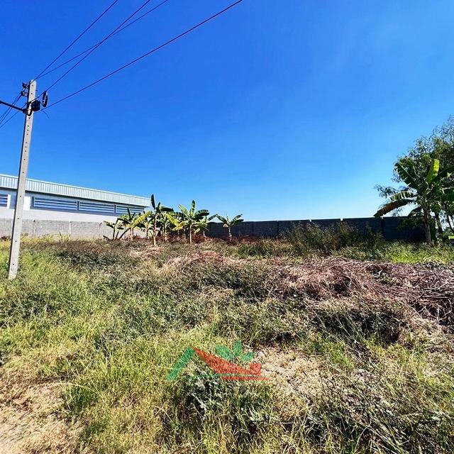 ขายถูก ที่ดินเปล่า3แปลง แปลงละ100ตรว. ซ.สังฆสันติสุข48/1 หนองจอก แบ่งขายได้ 4