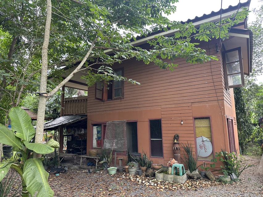 ที่ดิน 7 ไร่ มีบ่อและบ้านพร้อมอยู่ พร้อมพื้นที่ร่องสวนดั้งเดิม 1