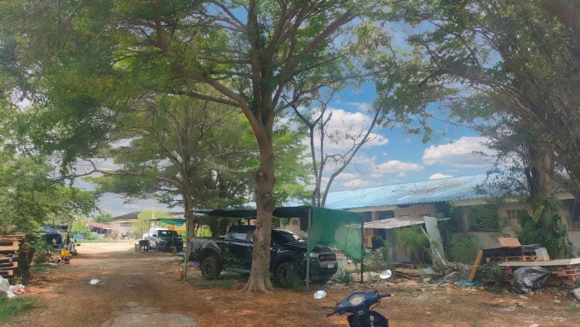 ที่ดินทำเลทอง ใกล้สนามบินสุวรรณภูมิเพียง 15 นาที ติดถนนวัดศรี จ.สมุทรปราการ 4