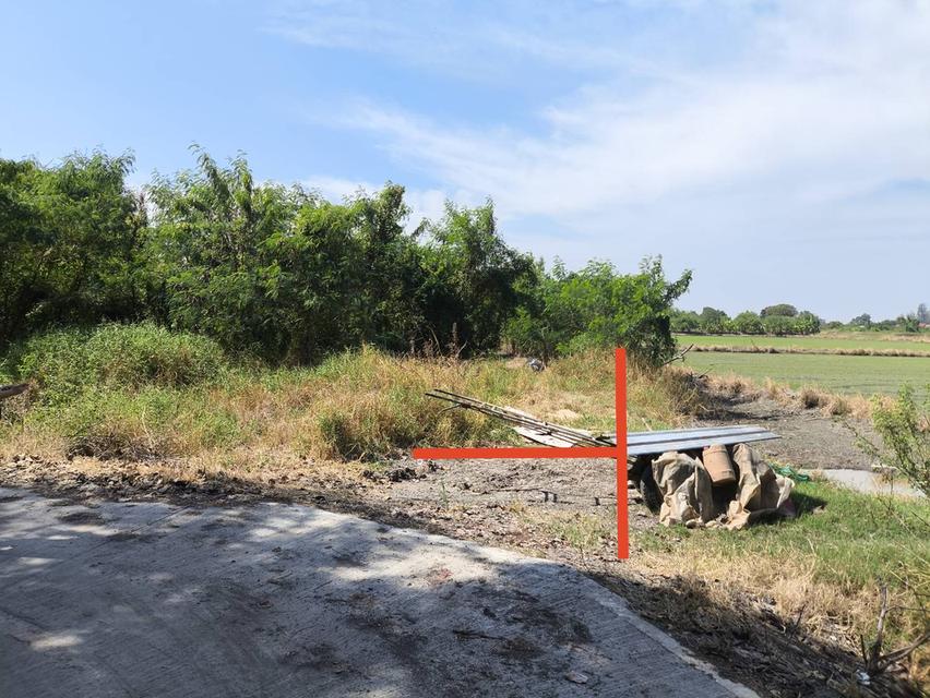 ที่ดินย่านไทรน้อย 225 ตรว 5