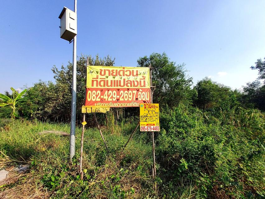 ขายด่วนที่ดินถนนฤชุพันธุ์ 568 ตรว ติดถนนคอนกรีตสาธารณะ ซ.ฤชุพันธุ์ 4 อ.ไทรน้อย จ.นนทบุรี 6