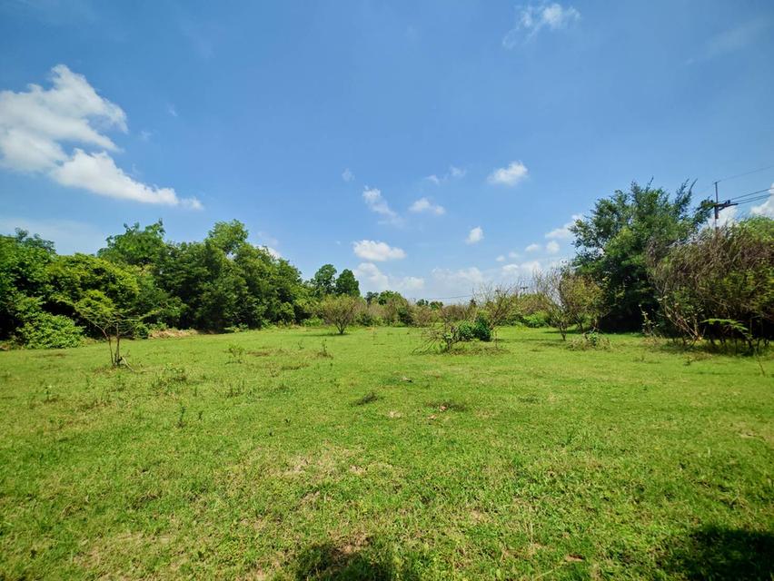 ขายที่ดินผืนงาม 22 ไร่เศษ ติดถนนใหญ่ โซนสีเหลือง อ.แปลงยาว ฉะเชิงเทรา (เขต EEC) – เหมาะแก่การลงทุน ท 4