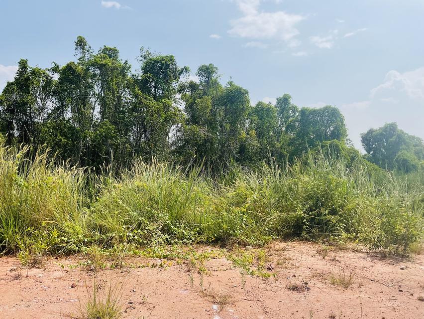 ที่ดิน 118 ตารางวา ใกล้ดาวนายร้อย สงขลา 3