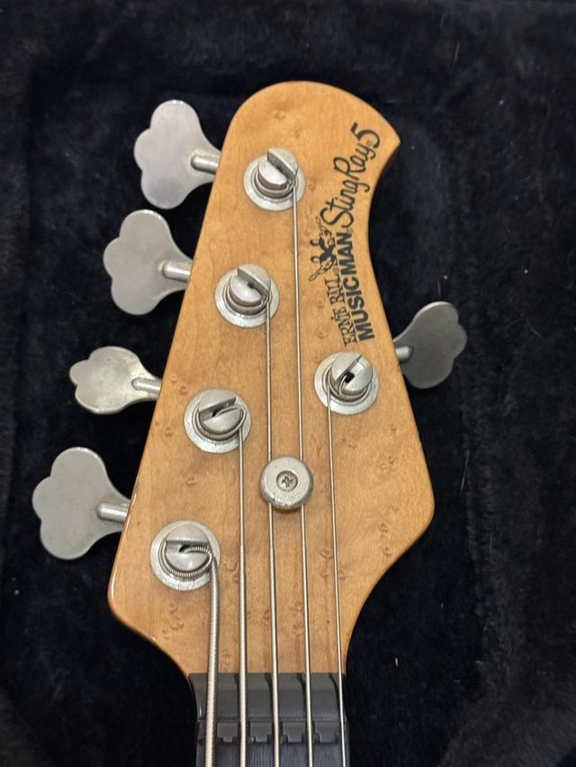 Music man usa stingray 5 bs รูปที่ 7