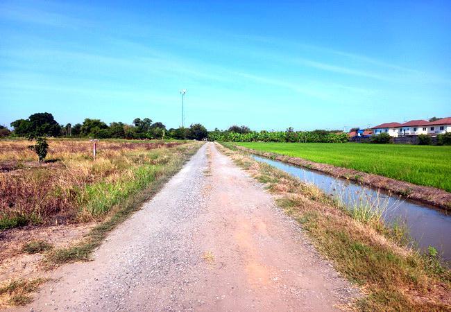 ที่ดิน 2 ไร่ 141 ตร.ว. ซ.วัดวีระโชติธรรมาราม  ตรงข้าม ร.ร.เตรียมพัฒน์ฯ ฉะเชิงเทรา เข้าจากถนนใหญ่สุวินทวงศ์เพียง 900 เมตร ทำเลดี 5