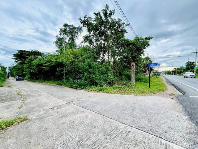 ขายที่ดิน 64 ตารางวา ตำบลช่องสะแก อำเภอเมืองเพชรบุรี จังหวัดเพชรบุรี 3