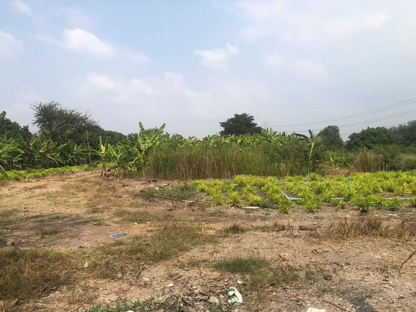 ขายที่ดินสวยรมน้ำคลองบางใหญ่ จังหวัดนนทบุรี  จำนวน 3 ไร่ 11