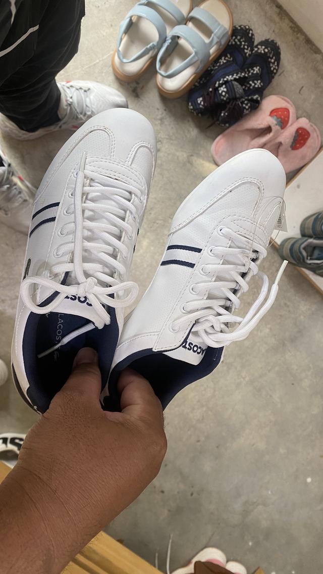 Lacoste Youth MISANO 116 Sneakers in Navy 9