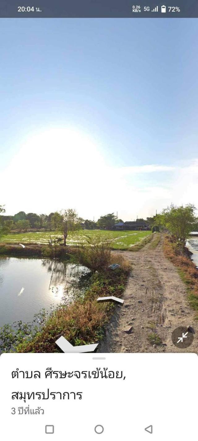 ขายที่ดิน วัดหนองปลือ สมุทรปราการ 7