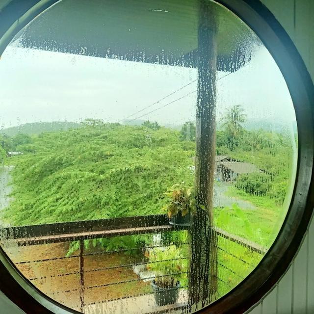 บ้านในสวนว่างให้เช่า 17