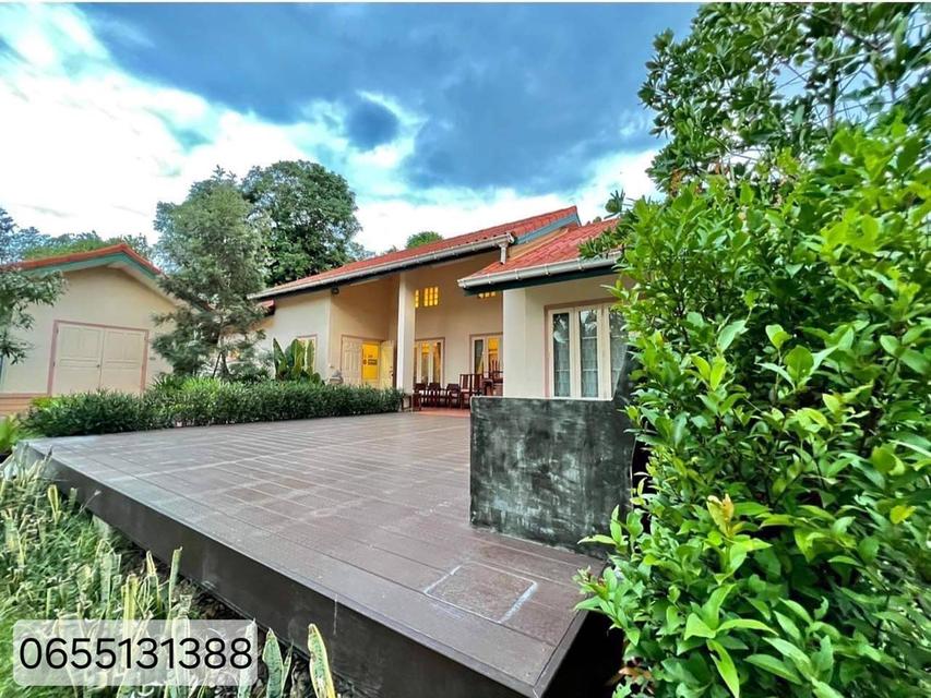 ที่ดินสวยปากช่อง 20 ไร่ พร้อมบ้านพัก ราคา 66 ล้านบาท 7