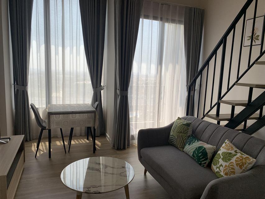 ให้เช่า Blossom Condo at  Fashion Beyond at Fashion 4