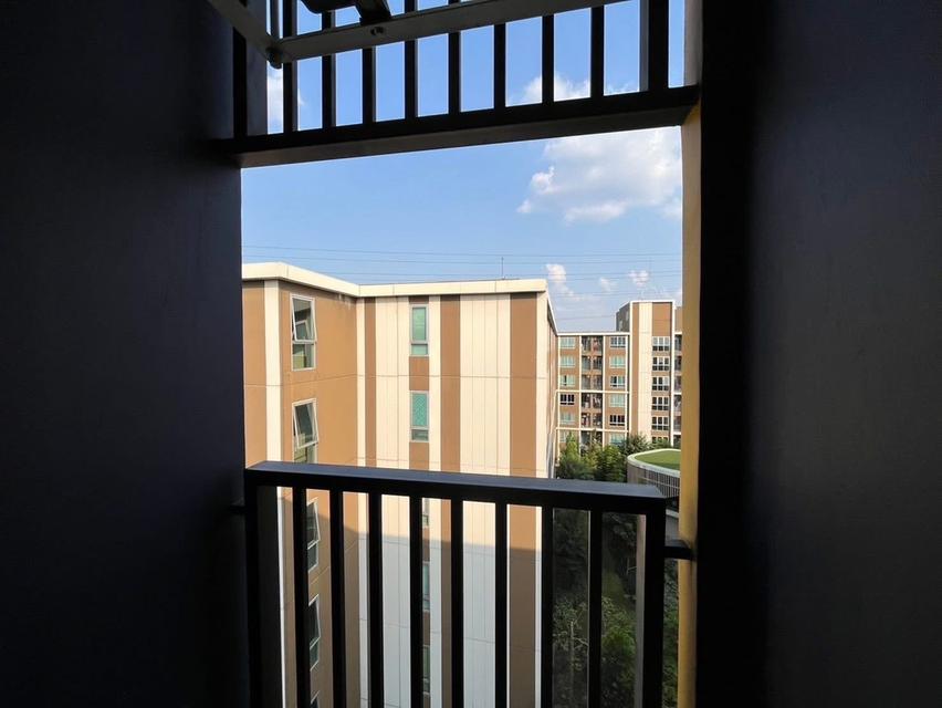 Dcondo Shine Rangsit ห้องใหม่ วิวสระ เฟอร์ครบ 17