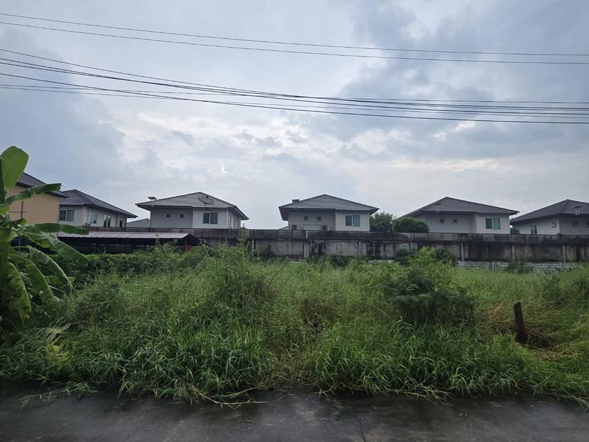 ที่ดิน แขวงดอกไม้ เฉลิมพระเกียรติ ร.9 ซอย 62 2