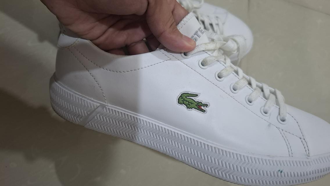 รองเท้า Lacoste มือสอง