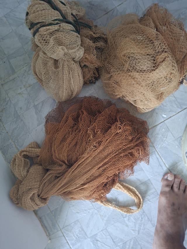 ขายแห่จับปลา