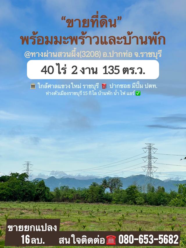 ขายที่ดิน ปากท่อ ราชบุรี 40 ไร่ 1