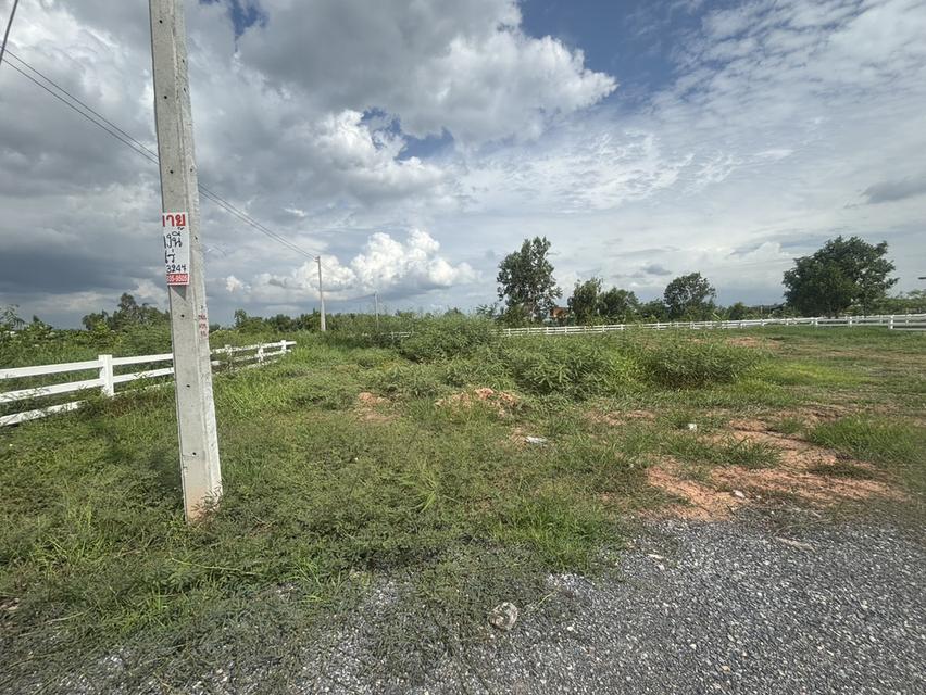 ขายที่ดินจัดสรร คลอง 13 ถนนเลียบคลอง 33 ตำบลศาลาครุ อำเภอหนองเสือ ปทุมธานี 7
