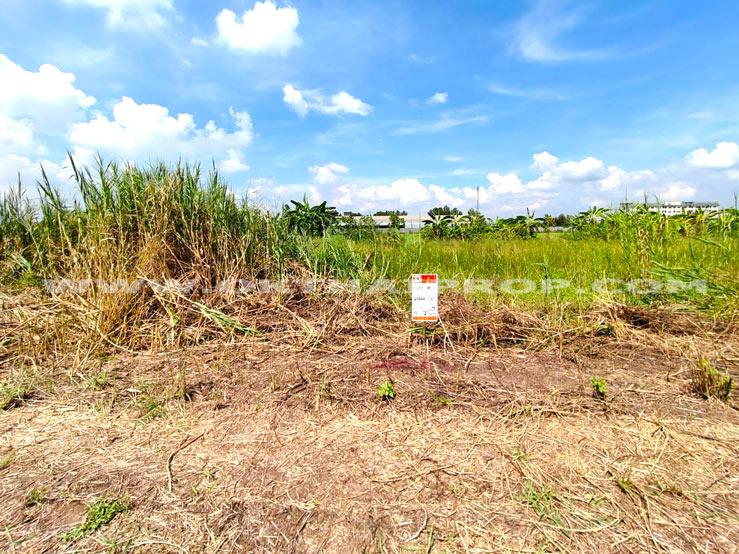 ที่ดินจัดสรรล็อคที่ 20 ถ.346 ต.หน้าไม้ อ.ลาดหลุมแก้ว จ.ปทุมธานี 2