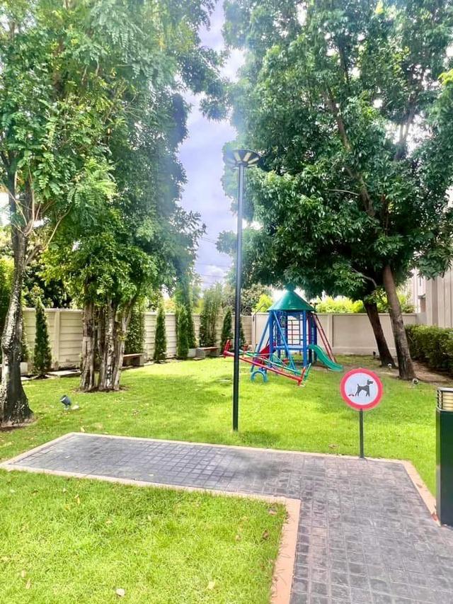 ขายบ้าน โฮมออฟฟิศ3ชั้น โครงการ ดิไอเฟล รามคำแหง- กรุงเทพกรีฑา 3